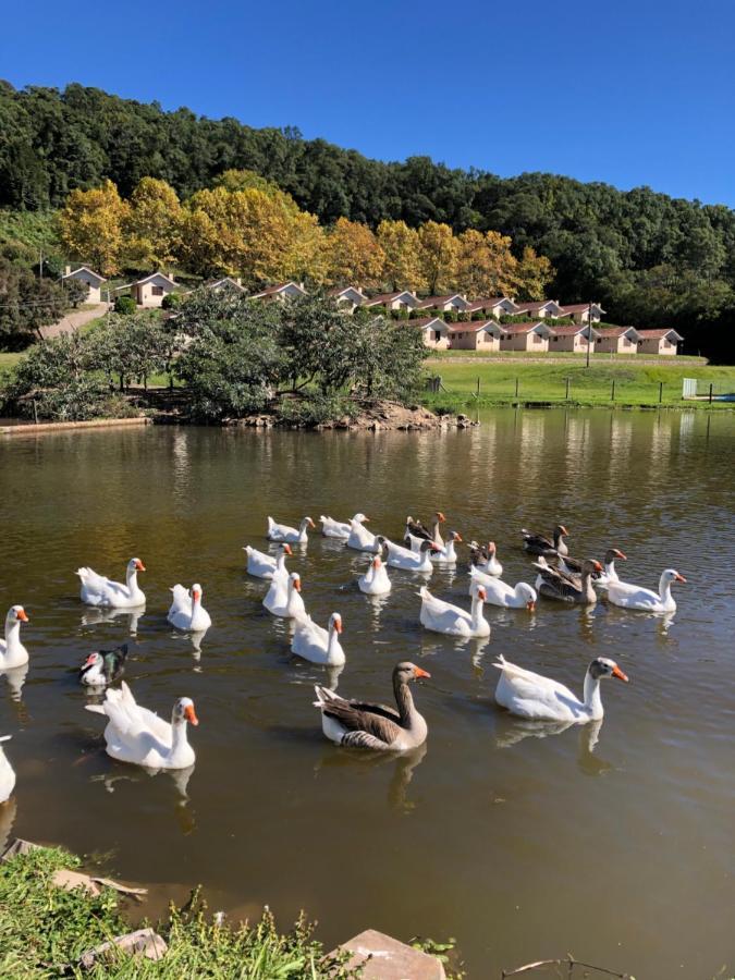 Pousada Parque Das Pitangueiras Flores da Cunha Exteriör bild